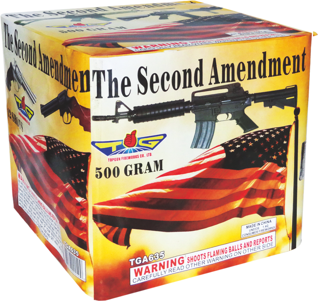 THE SECOND AMENDMENT