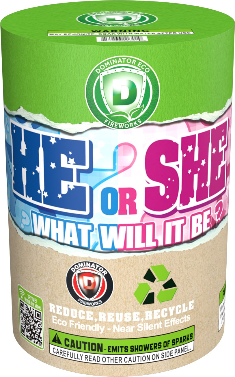 Boy or Girl fountain- girl