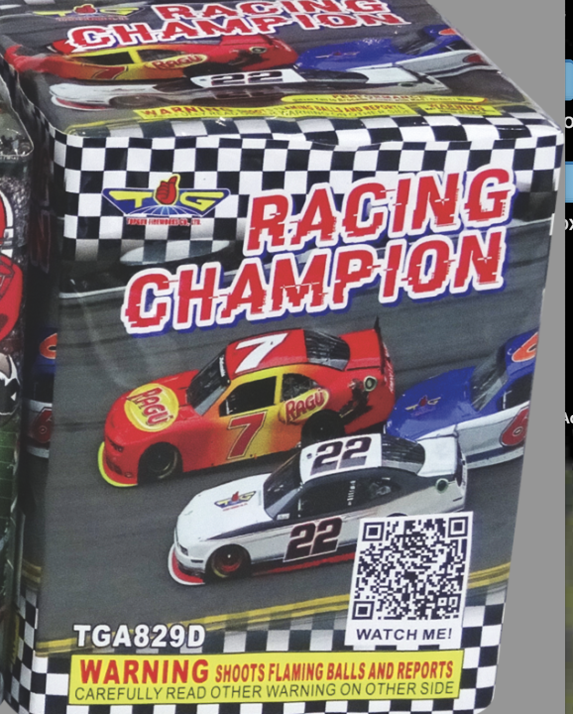 Racing Champion