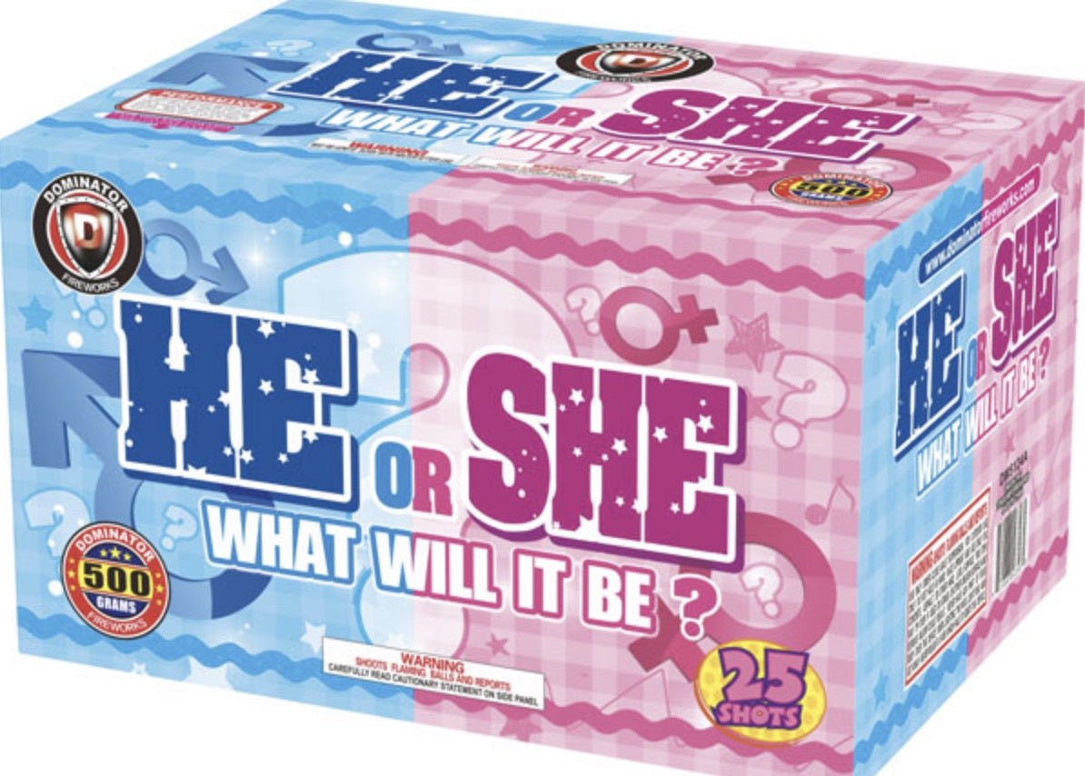 HE OR SHE, What Will It Be? boy